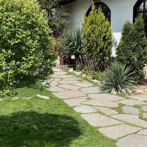 Polygonal Slate Homa Lespezi - Natural Stone for Pavers, Garden Steps, Paths (1 sqm = 3-5 pieces, 10 sqm/pallet)