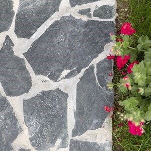 Laguna Green Polygonal Slate - Natural Stone for Interior / Exterior | Fronts, Pavings and Walkways
