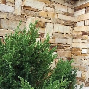 Slate Rhodos Filleti (Pallet approx. 10 sq.m)| Decorative Stone - Vertical Tiles, Exterior-Interior