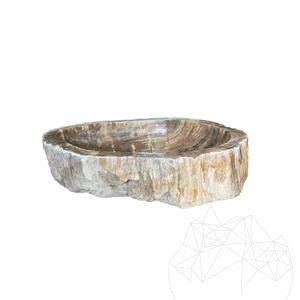 Bathroom Sink Petrified Wood