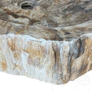 Bathroom Sink Petrified Wood
