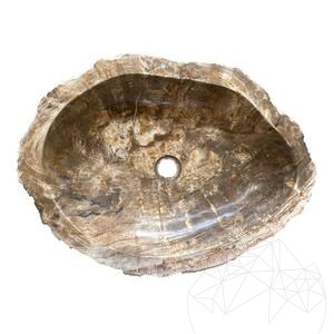 Bathroom Sink Petrified Wood