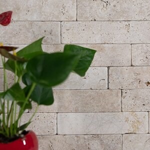 Classic Cross Cut Tumbled Travertine Brick  20.3 x 5 x 3 cm