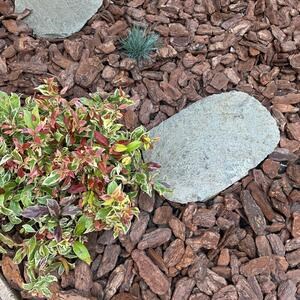 Kavala Slate Chiseled Edge Japanese Garden Step