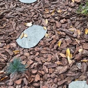 Kavala Slate Chiseled Edge Japanese Garden Step