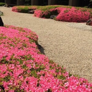 Landscape Spacer Design System for Gravel stability, grey, 1176 x 764 x 32 mm