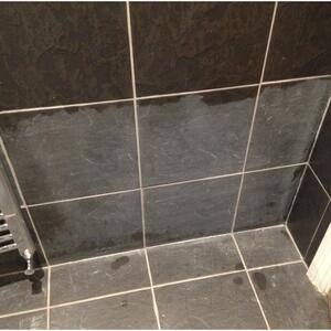 LTP Profesional Grout Stain Remover (removes cement, grout & limescale), 5 L