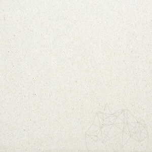 Limra Polished Limestone, 122 x 61 x 1.2 cm