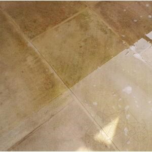 LTP Profesional Grimex  natural stone grime & stain remover (wax, grease, oil, dirt), 1 L