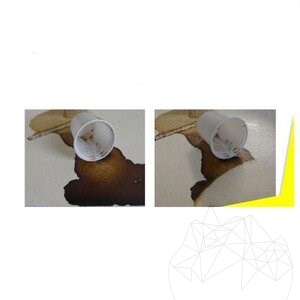 MGP 1 Stain remover (natural color stains)  500 ml - Professional remover