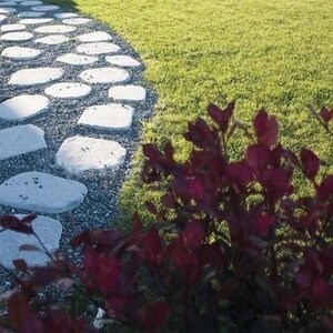 Kavala Tumbled Slate Japanese Garden Step - Standard size
