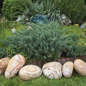 Rainbow Sandstone Pebbles 10-30 cm KG