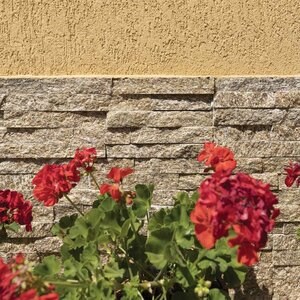 Lemone Quartzite Wall Cladding Panel 15 x 60 x 1-2  cm