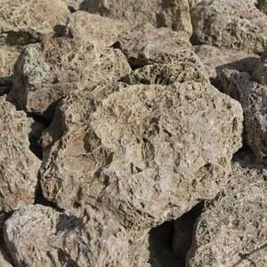 Rocarie Green Spaghetti KG