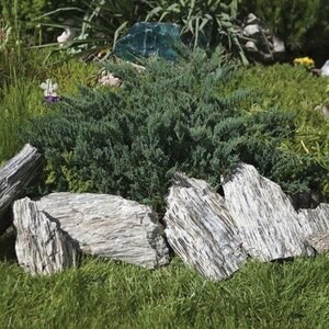 Rocarie Wood Stone 10-30 cm KG