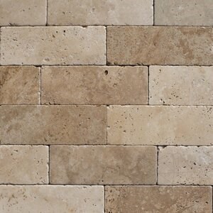 Classic Cross Cut Tumbled Travertine 7.5 x 20.3 x 1 cm