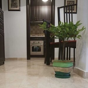 Classic PREMIUM Cross Cut Polished Travertine, 40.6 x 20.3 x 1.2 cm