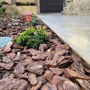 Latte PREMIUM Brushed & Bullnosed Travertine (Stairs/Pool Coping), 61 x 30.5 x 3 cm