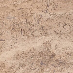 Latte PREMIUM Honed Travertine, 61 x 30.5 x 1.2 cm