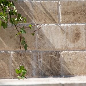 Latte PREMIUM Brushed & Chiseled Edge Travertine, 30.5 x 15 x 3 cm