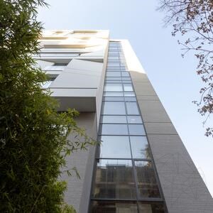 Venetian Granite Lineal Plus Design Slab Granite 2CM