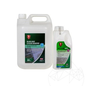 CLEANPAV Kit LTP - removes moss and moulds from exterior paving