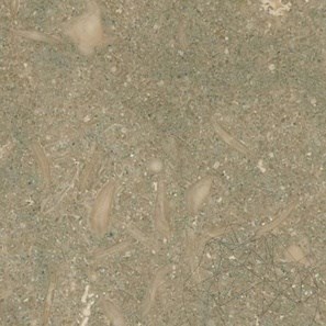 Oliva Brushed Limestone, 60 x 60 x 1.2 cm