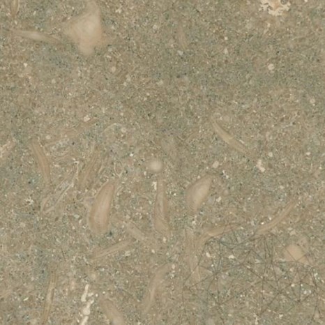 Oliva Brushed Limestone, 60 x 60 x 1.2 cm