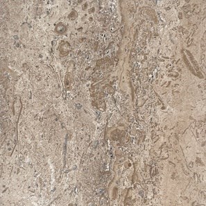 Latte Brushed Travertine, 30.5 x 15.2 x 3 cm