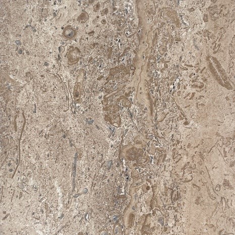 Latte Brushed Travertine, 30.5 x 15.2 x 3 cm