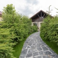 Laguna Green Polygonal Slate - Natural Stone for Interior / Exterior | Fronts, Pavings and Walkways