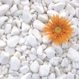Thassos Marble Pebbles 1-3 cm 20 kg bag