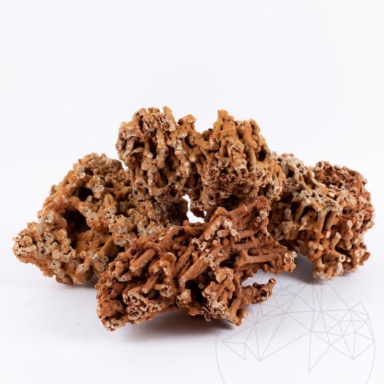 Rocarie Red Spaghetti KG