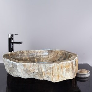 Bathroom Sink Petrified Wood