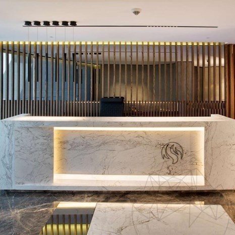 Calacatta Lucina Polished Marble cut-to-size slabs, 2 cm - Special Projects Item
