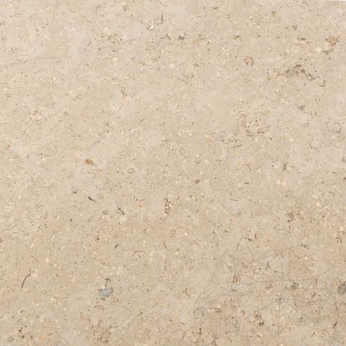 Limestone Astoria Polished 61 x 30.5 x 1.2 cm