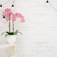 Arctic White Polished Marble Wall Cladding Panel, 15 x 60 cm
