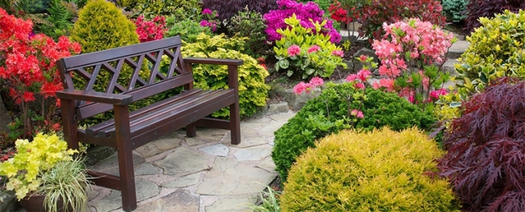 Landscaping on a budget 