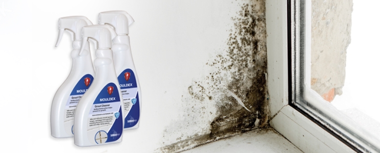 Get rid of mould stains with LTP Mouldex    