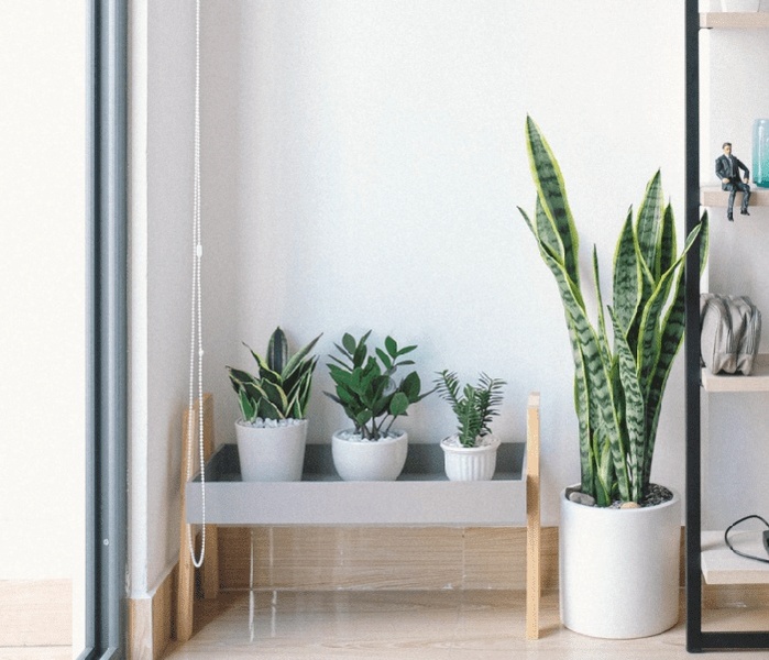 2022 Design Trends: Ideas for Your Decoration Project