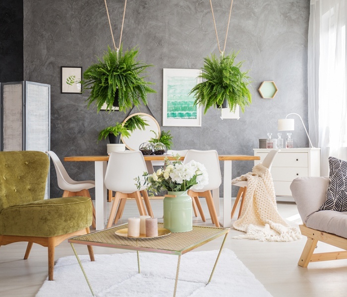 Best Small Living Room Decorating Ideas | 5 Tips
