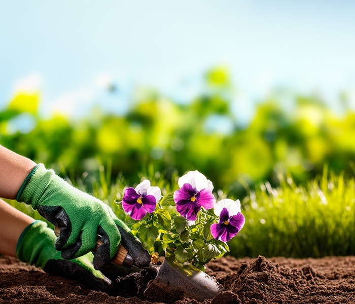 How to Understand the Soil Types Tips for Gardening
