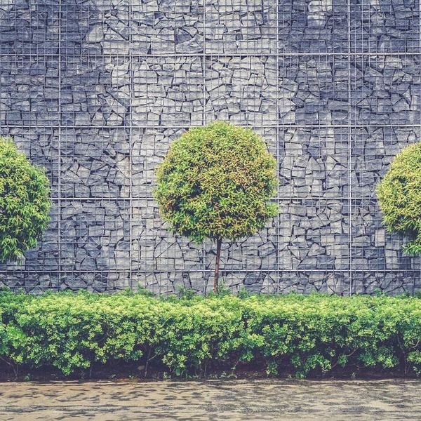 Outdoor Style and Functionality: How to choose the right fence and garden furniture for your space