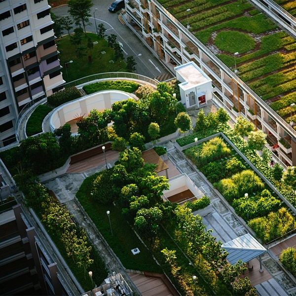 Back to Stone: Urban Horticulture