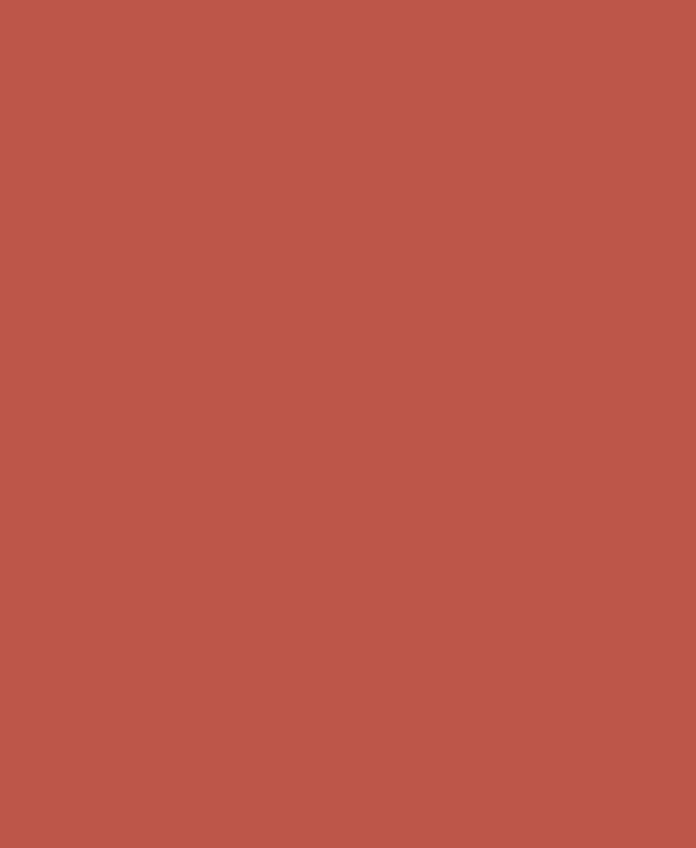 Weber G700 Wall primer G700 CE3 (red) - 5 kg