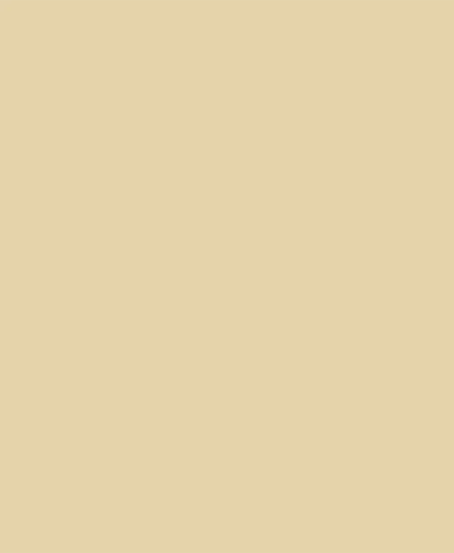 Weber Color Perfect Sesame 2 Kg - Flexible wall & floor grout