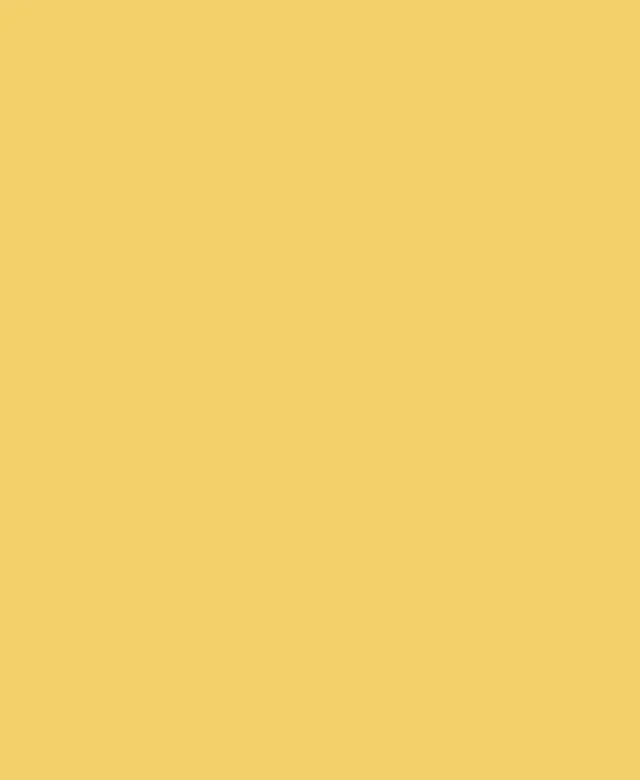 Weber Color Perfect Honey 2 Kg - Flexible wall & floor grout