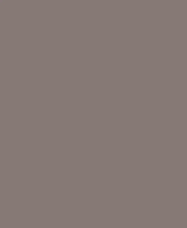 Weber Color Perfect Dark Chocolate 2 Kg - Flexible wall & floor grout