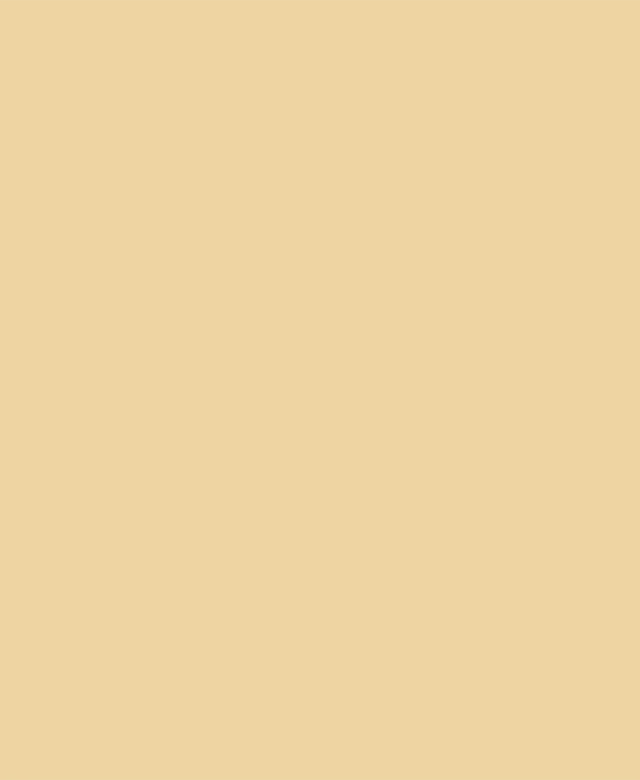 Weber Color Perfect Morel 5 Kg - Flexible wall & floor grout