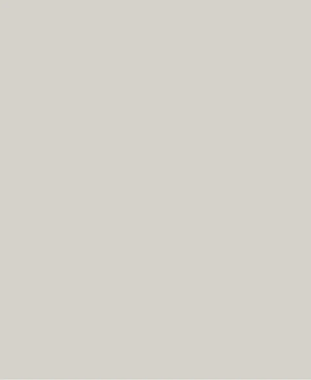Floor grout - Multifill-Smalto, Joint Width 1-8 mm, 29 SILVER GREY, 4 kg